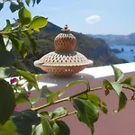 Solandra Lipari (Isola Lipari)