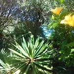 Solandra Ferienhaus *