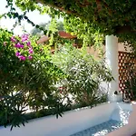 Solandra * Lipari (Isola Lipari)