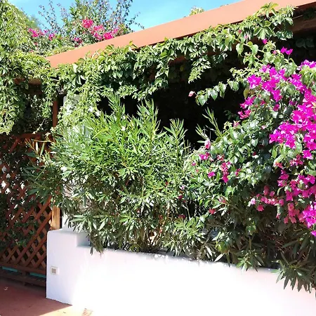 Ferienhaus Solandra *