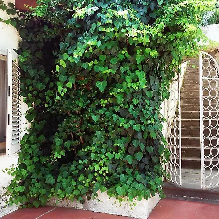 Solandra Ferienhaus Lipari (Isola Lipari)