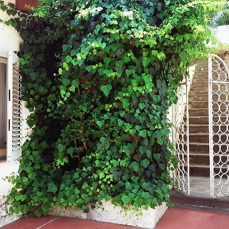 Solandra Ferienhaus Lipari (Isola Lipari)