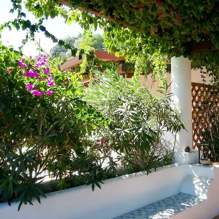 Solandra * Lipari (Isola Lipari)