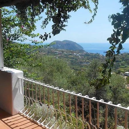 Solandra Lipari (Isola Lipari)